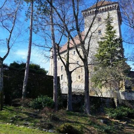 Lodge & Castle - Vue Chateau - Climatisation - Majord'Home Annecy Exteriör bild